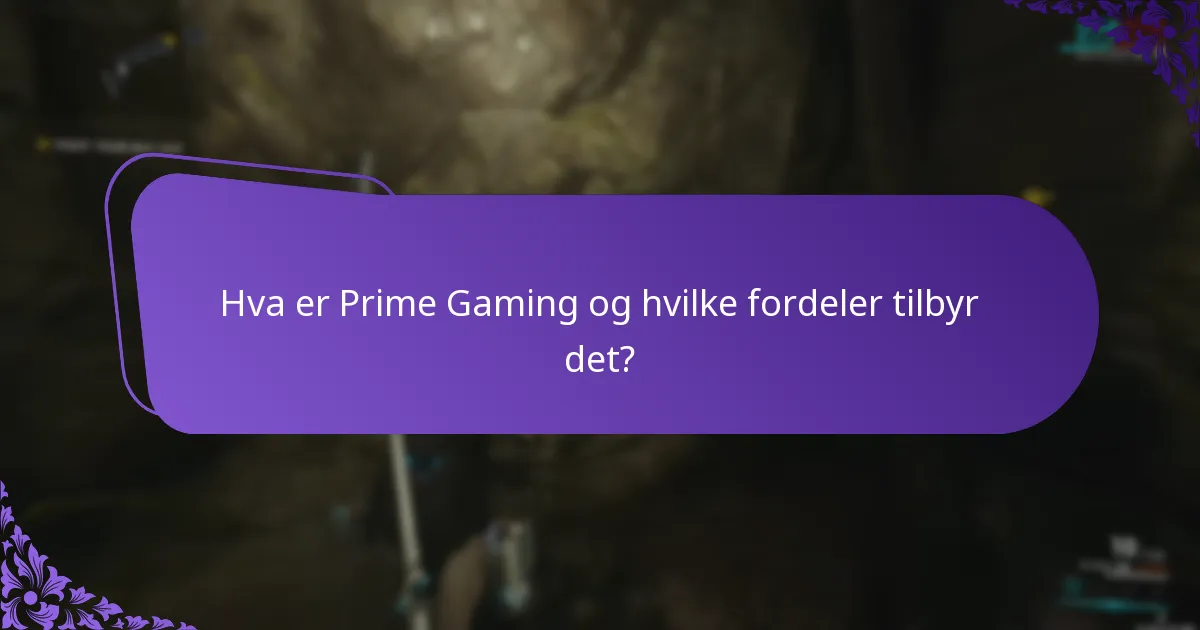 Hva er retningslinjene for kontodeling for Prime Gaming?